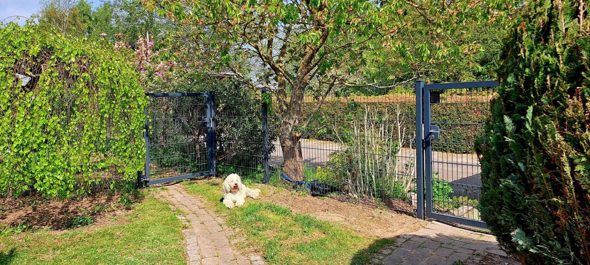 Fewo Sonne Rovershagen Exterior foto